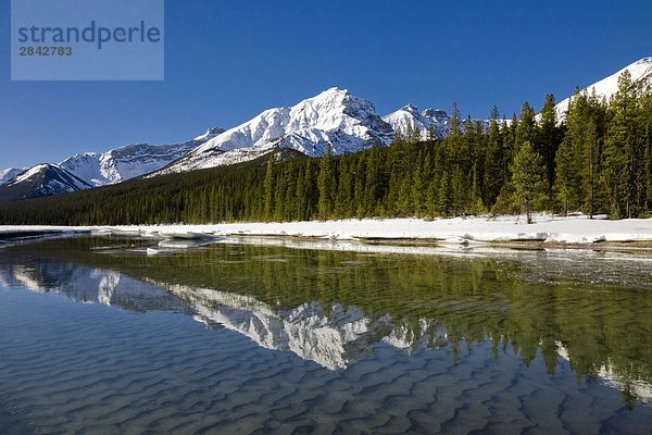Reflexion der Berge in kanadischen Rocky Mountains entlang Icefield Parkway in der Nähe von Jasper in Alberta  Kanada