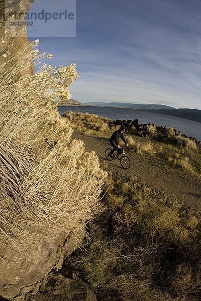 Ein Mountainbiker genießen den Kettle Valley Trail  Penticton  British Columbia  Kanada.