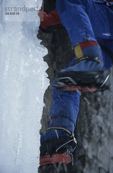 Ein Iceclimber seinen Weg  aus denen das Grotto Canyon der Eiswasserfall  Alberta  Kanada.