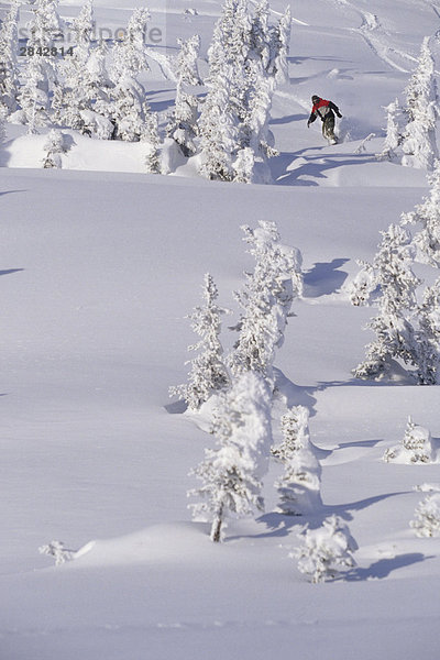 Ein Snowboarder machen eine neue Zeile in die Lichtungen im Hinterland in Smithers  British Columbia.