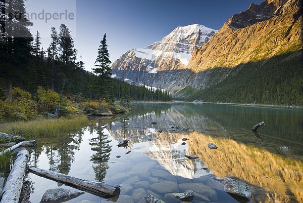 Mount Edith Cavell spiegelt sich in Cavell See im Jasper-Nationalpark in Alberta  Kanada.