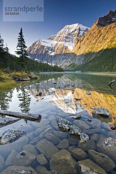 Mount Edith Cavell spiegelt sich in Cavell See im Jasper-Nationalpark in Alberta  Kanada.