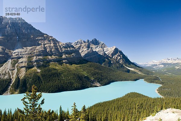 Peyto Lake  Banff-Nationalpark  Alberta  Kanada.
