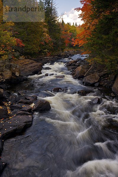 Riviere du Diable umgeben von Herbstfarben in Parc national du Mont Tremblant  Provincial Park von Quebec  Laurentides  Québec  Kanada.