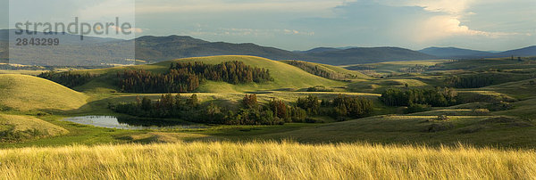 Panorama von Grünland in der Nähe von Douglas Lake Ranch  British Columbia  Kanada