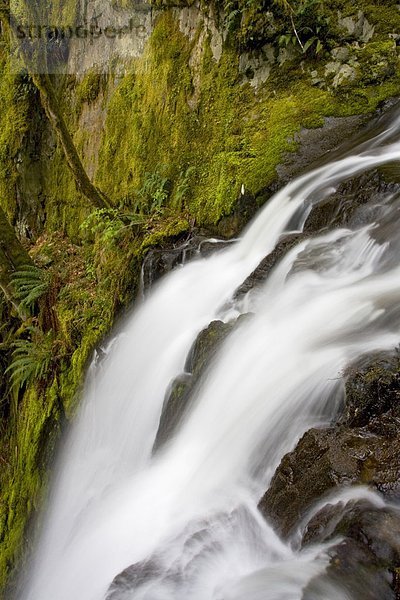 Ein Berg Wasserfall bei Goldstream Provincial Park in Victoria  Vancouver Island  British Columbia  Kanada