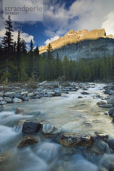Malerischen Scenic von Moskito Creek  Banff-Nationalpark  Alberta  Kanada