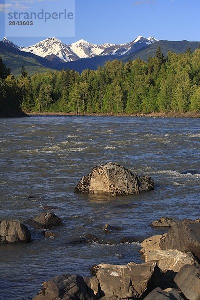 Skeena River in der Nähe der First Nations Dorf von Kitseguecla  British Columbia  Kanada