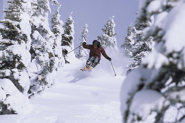 Ein Skifahrer Fang etwas Luft in Smithers  British Columbia  Kanada