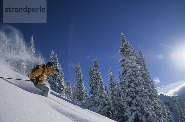 Ein Skifahrer machen einige Pulver schwenkt an Cat Pulver  Revelstoke in British Columbia  Kanada