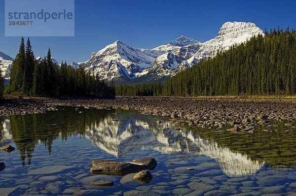 Athabasca River und Mount Fryatt im Zentrum und Geraldine Peak auf der rechten Seite  Jasper-Nationalpark in Alberta  Kanada