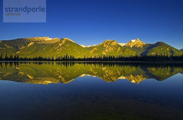 Teich westlich von Jasper Lake bei Sonnenaufgang  Jasper-Nationalpark in Alberta  Kanada. (Links nach rechts  Chetamon Berg  Esplanade Berg  Gargoyle Berg).