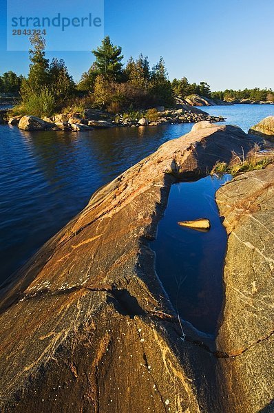 Präkambrischen Schild Rock auf Hindernis Island  Französisch River Provincial Park  Ontario  Kanada