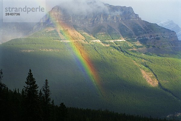 Regenbogen  in der Nähe von Icefields Parkway Peyto Lake  Banff-Nationalpark  Alberta  Kanada