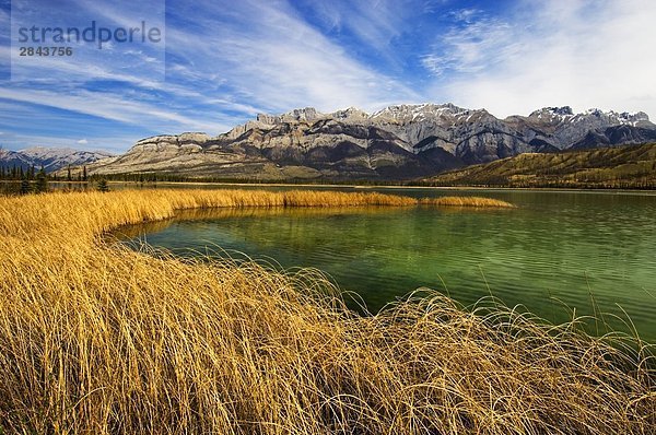 Talbot See und der Miette Strecke  Jasper-Nationalpark in Alberta  Kanada