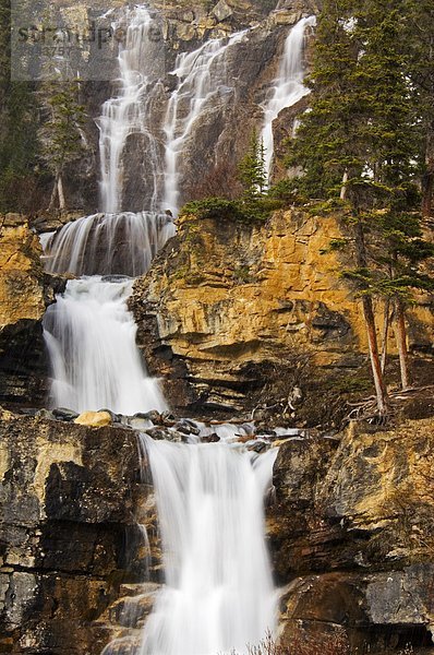 Felswand von Wasserfall  Tangle Falls  Jasper-Nationalpark  Alberta  Kanada