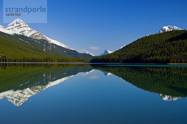 Mount Weed  spiegelt sich auf der linken Seite  in untere Wasservögel See  Icefields Parkway  Banff-Nationalpark  Alberta  Kanada