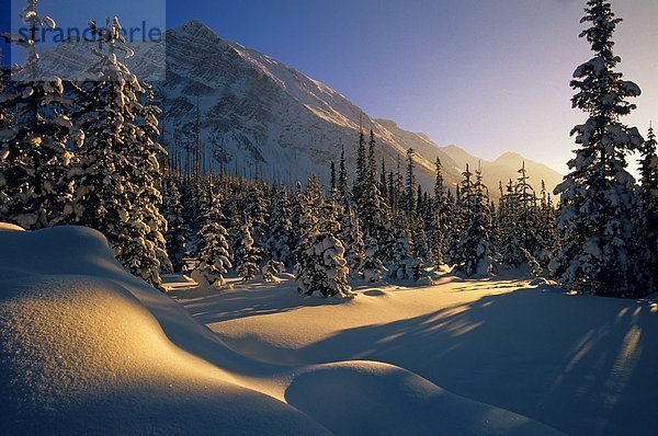 Sonnenuntergang über Winterlandschaft  Boom Lake  Banff-Nationalpark  Alberta  Kanada