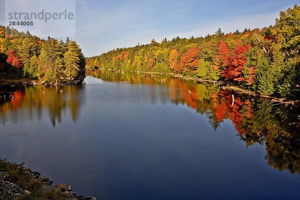 Wasser Reflexionen in Lake im Algonquin Provincial Park im Herbst  Ontario  Kanada