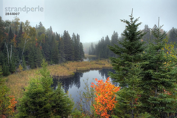 Morgennebel im Algonquin Provincial Park im Herbst  Ontario  Kanada