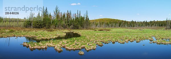 Panorama der Frühling Feuchtgebiet in den Almaguin Highlands in der Nähe von Kearney  Ontario  Kanada
