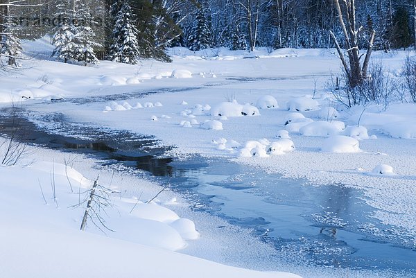 Winter-Stream in Ontario's Muskoka Region in der Nähe von Bracebridge  Ontario  Kanada