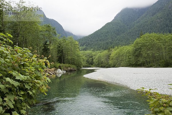 Berg Bach Ländliches Motiv ländliche Motive Golden Ears Bridge British Columbia Kanada Ahorn Hügelkette