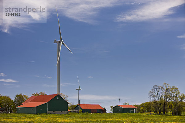 Windturbine Windrad Windräder Ländliches Motiv ländliche Motive Freundschaft Scheune Ökologie Kanada Ontario Halbinsel