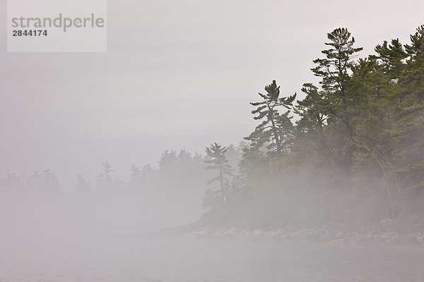 Nebel in Sinclair Cove  Lake Superior Lake Superior Provincial Park  Ontario  Kanada
