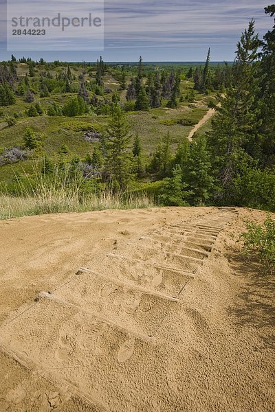 Überblick über den Geist Sands Spuren von oben auf einer Sanddüne in Fichte Woods Provincial Park  Manitoba  Kanada