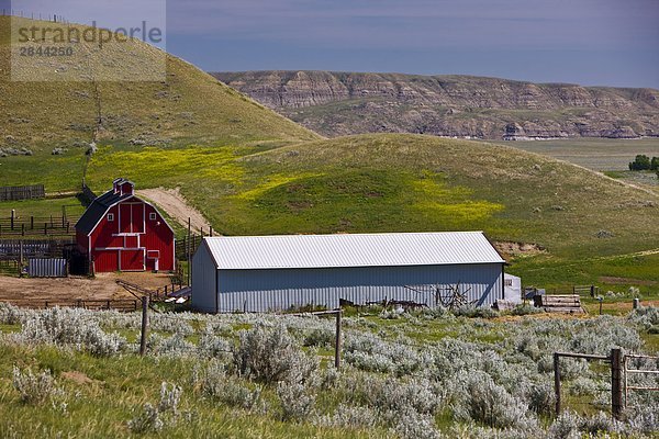 Ranch in den Big Muddy Badlands in der Nähe von Castle Butte im südlichen Saskatchewan  Kanada