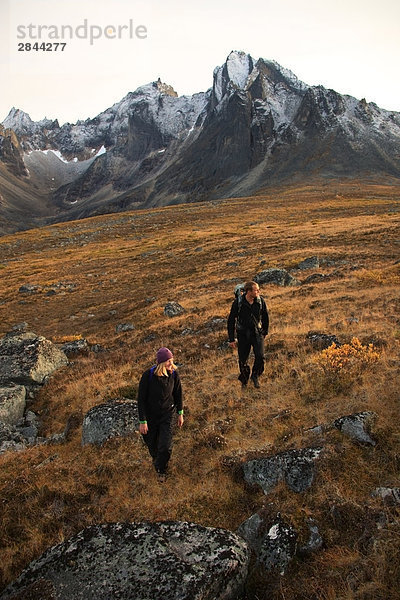 Wanderer Wandern in Tombstone Territorial Park  ist Mount Monolith gesehen im Hintergrund  Yukon  Kanada
