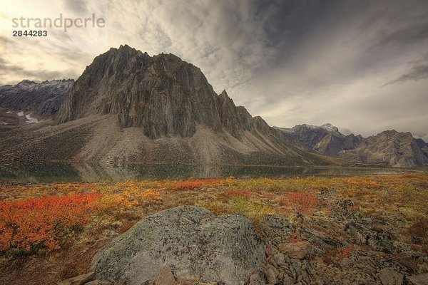 Talus See  Tombstone Territorial Park  Yukon  Kanada