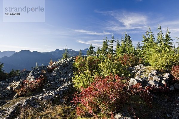 Blick von Spitze der Hund Berg Mount Seymour Provincial Park in North Vancouver  British Columbia  Kanada