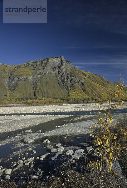 Racing River  östlich von Toad River  northern British Columbia  Kanada