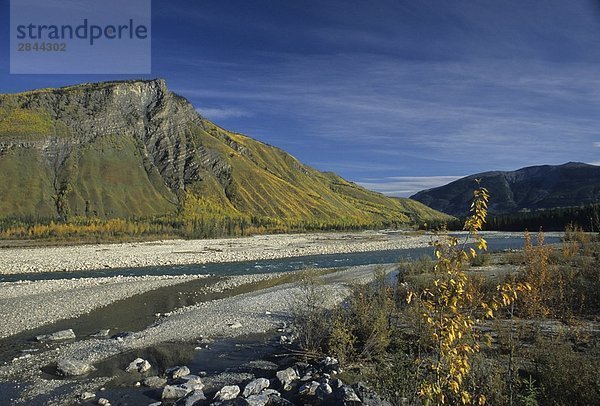 Racing River  östlich von Toad River  northern British Columbia  Kanada