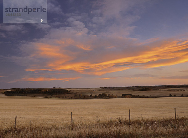 Sunset Wolken über Heu-Feld in der Nähe von Wasser Valley  Alberta  Kanada