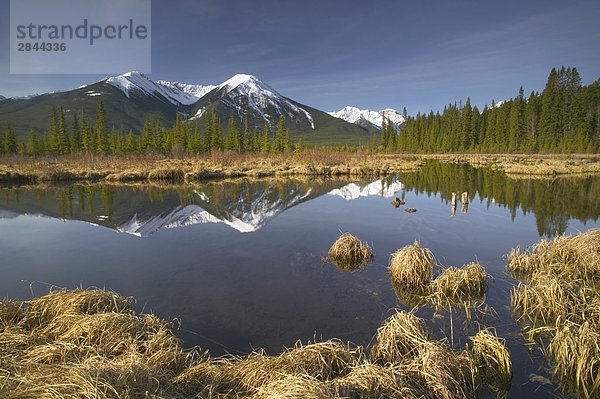 Dritte Vermilion Lake und der Sundance Strecke  Banff-Nationalpark  Alberta  Kanada