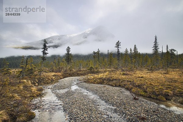 Michael Peak vom Emerald Lake Loop Trail  Yoho Nationalpark  British Columbia  Kanada