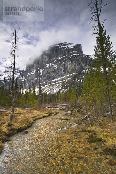 Die Guard Mauer und Stanley Creek entlang der Stanley Glacier Trail  Kootenay-Nationalpark  British Columbia  Kanada