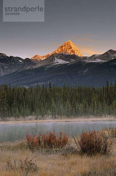 Mt. Edith Cavell aus Fryatt Teiche  Jasper-Nationalpark in Alberta  Kanada