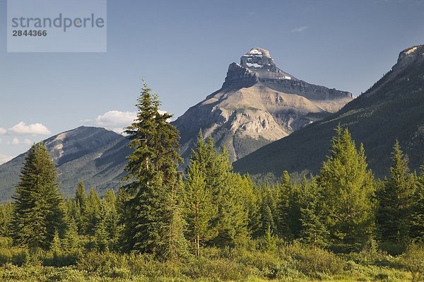 Pilot Mountain und Moose Wiesen  Banff-Nationalpark  Alberta  Kanada