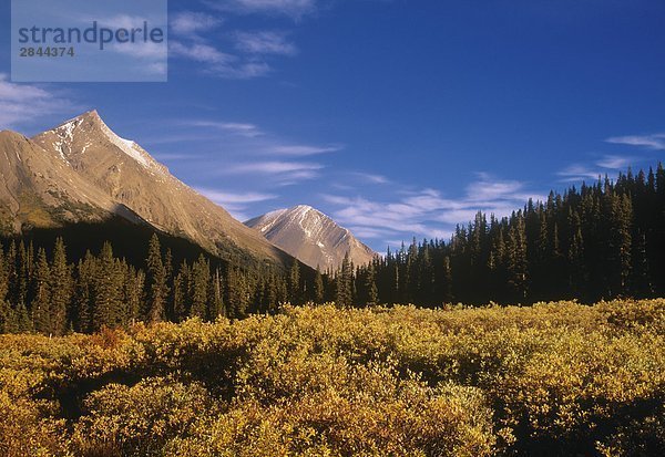 Nigel Pass  Banff-Nationalpark  Alberta  Kanada