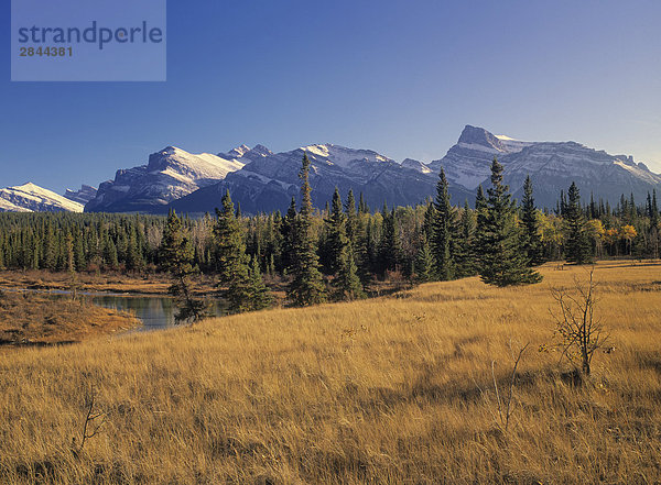 Mount Peskett und den North Saskatchewan River in den Kootenay Plains  Bighorn Buschgebiete  Alberta  Kanada