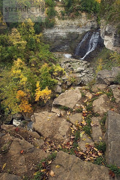 Niagara-Schichtstufe Rockway Mennonite Collegiate Falls  Niagara-Halbinsel  in der Nähe von Rockway Mennonite Collegiate  Ontario  Kanada