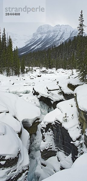 Mistaya River und Mistaya Canyon im Winter  Banff-Nationalpark  Alberta  Kanada