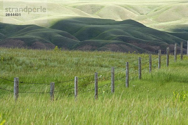 Zaun und dem Feld in der Prairie-Badlands in der Nähe von Dorothy  Alberta  Kanada