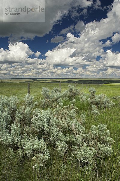 Zaun und dem Feld in der Prairie-Badlands in der Nähe von Dorothy  Alberta  Kanada