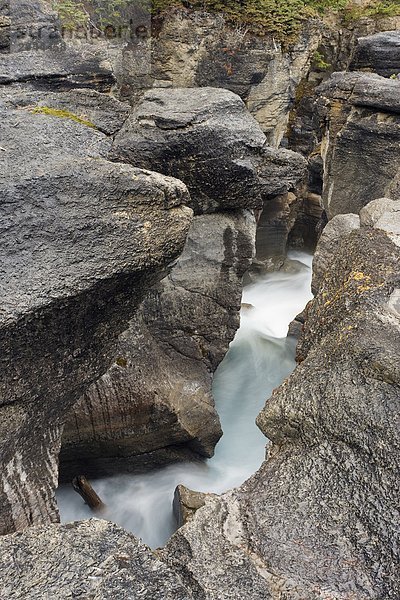 Nigel Creek  Banff-Nationalpark  Alberta  Kanada