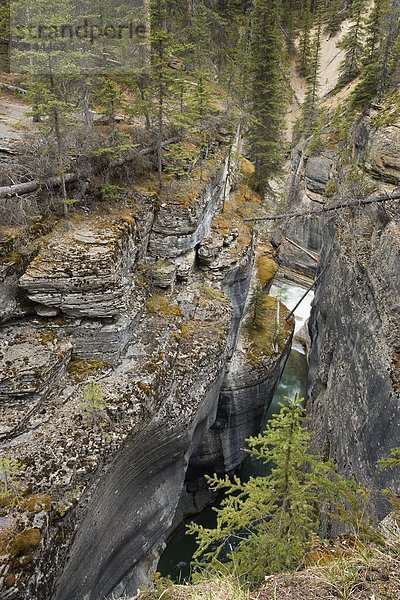 Mistaya Canyon  Banff-Nationalpark  Alberta  Kanada